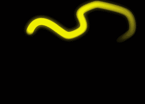 A yellow blob with a trail follows a path, and a pink pattern animates in the background