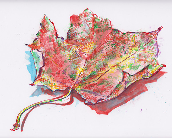 2015_11_03_leaf_02
